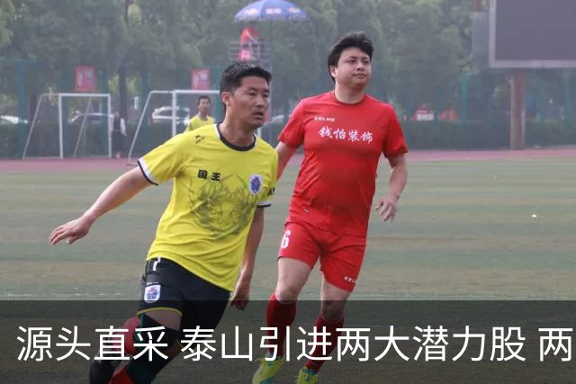 源头直采 泰山引进两大潜力股 两外援抵达济南